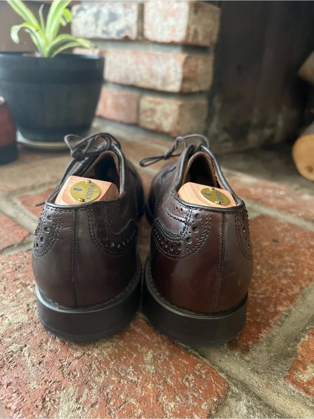 Allen Edmonds Dark Brown Cap-Toe Brogue Oxfords